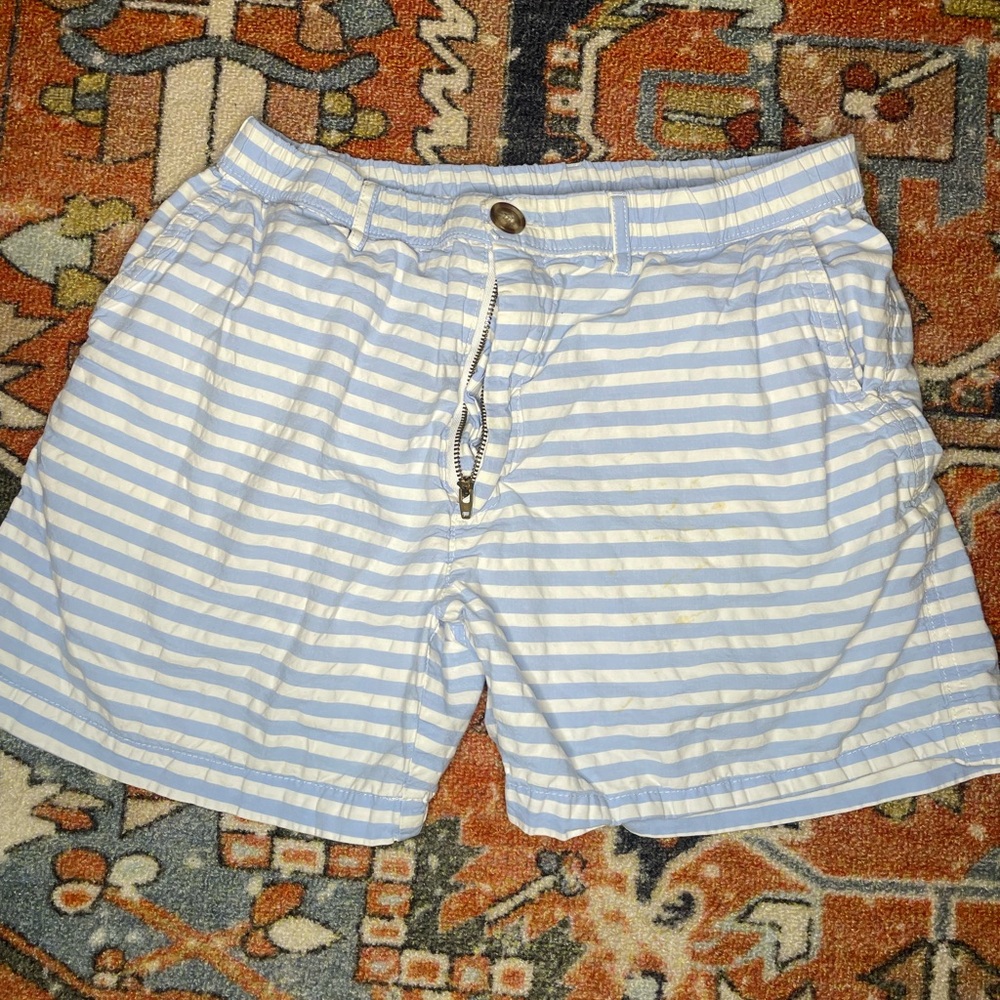 Chubbies shorts - blue striped- M